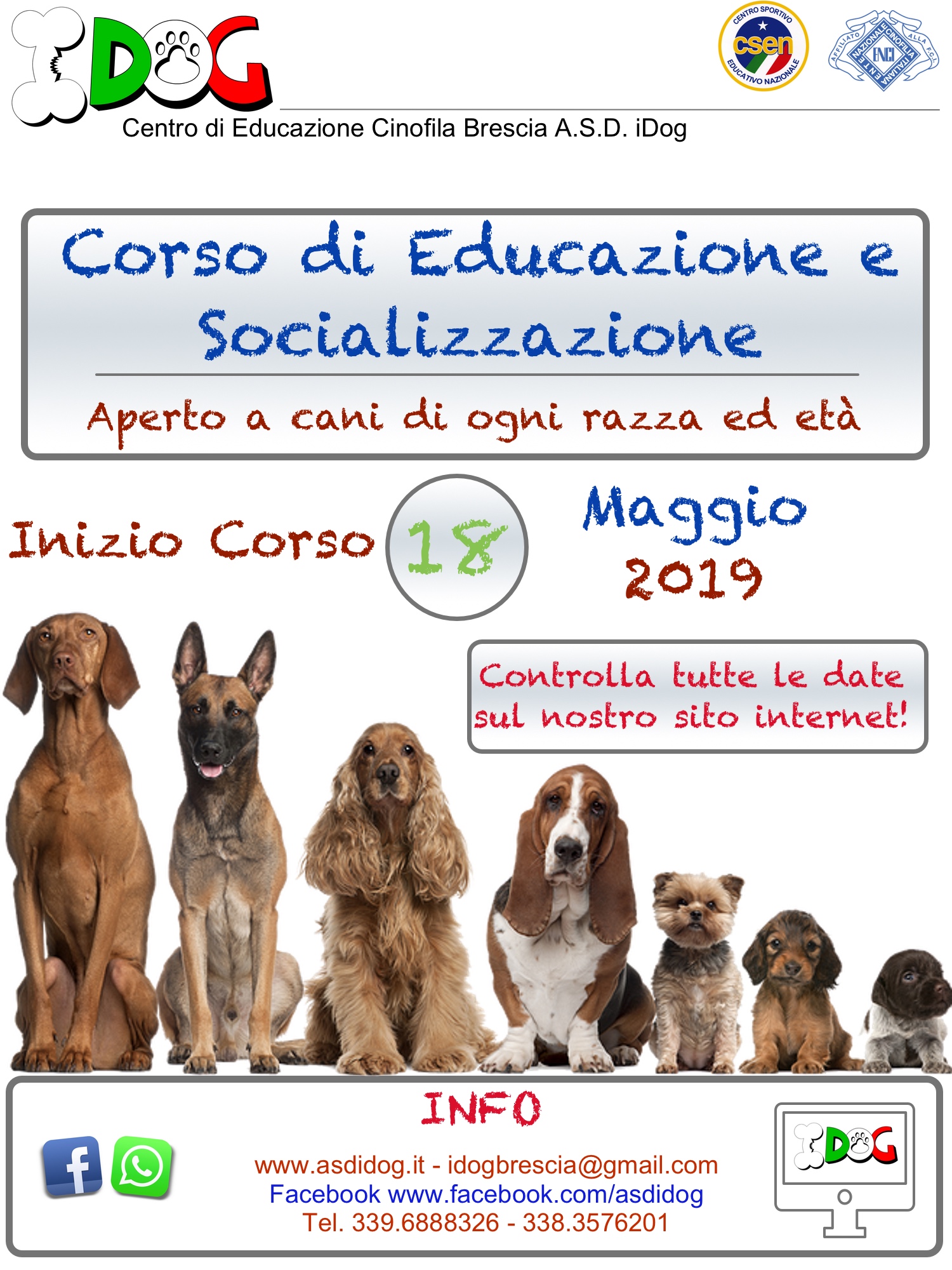 corso base 2019