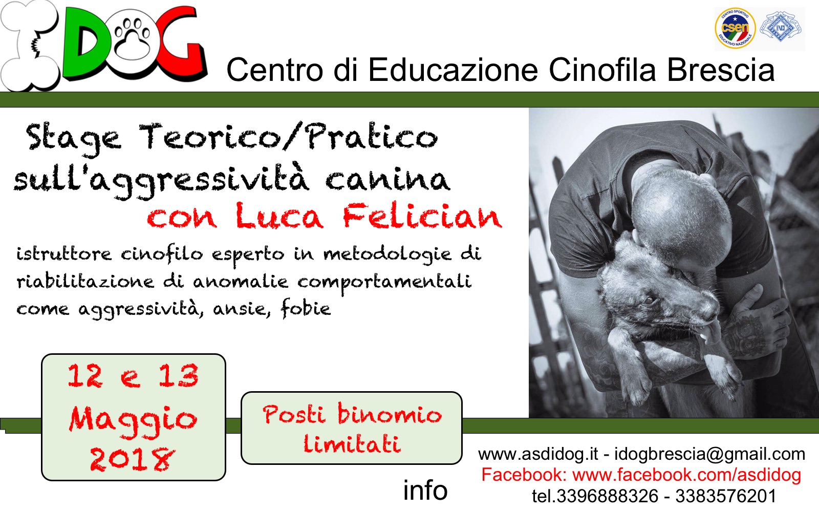 stage-luca-felician-idog-brescia