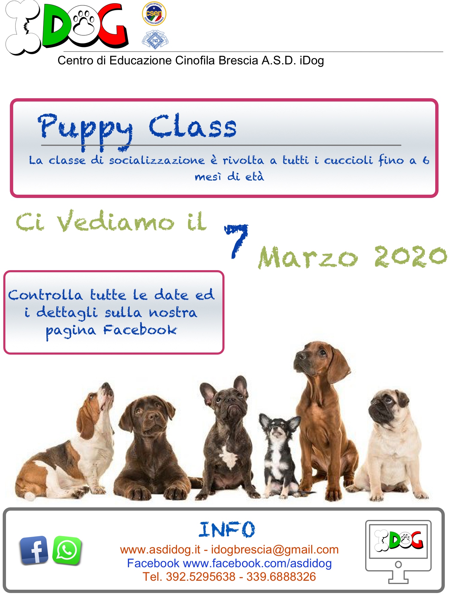 puppy class 2020