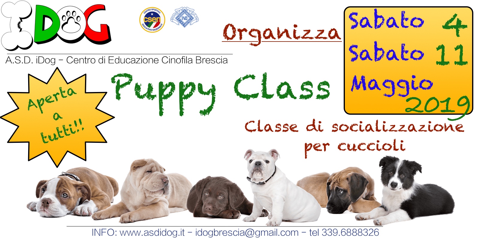 puyppy class 2019